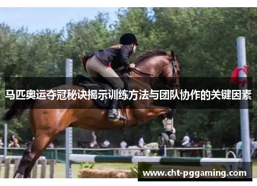马匹奥运夺冠秘诀揭示训练方法与团队协作的关键因素